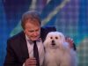 Dogs, BGT, Talent, Hilarious, Talking Animals, Animals,
