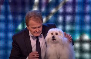 Dogs, BGT, Talent, Hilarious, Talking Animals, Animals,