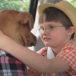 Miraculous Story of Xena the warrior Puppy