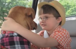 Story, Dogs, Pitbull, friends, Incredible, animals,