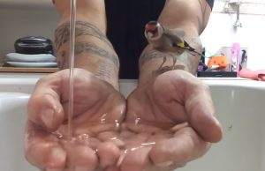 Birds, animals, trust, pool, bath, hands, amazing,