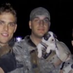 Heartbroken adoption Story