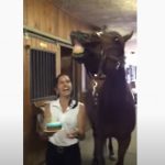 Horse Celebrate his birthday Cake