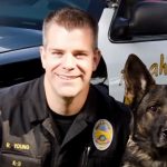 Police Dog Shot in Line of Duty