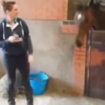 She Starts Dancing To “All About That Bass,” Now Watch What Her Horse Does …I’m CRYING!