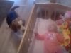 baby, dog, crib, adorable, animals, trending,