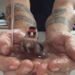 Brave bird enjoy the bath in his owner hands