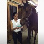 Horse Celebrate his birthday Cake