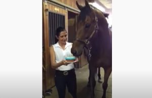 Horse, Animals, Birthday, Cake, Funny, Adorable,