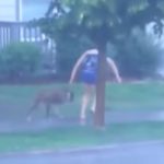 Saving An abandoned Dog From A Storm