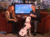 dog, guest, Ellen, Show, Pitbull, animals,