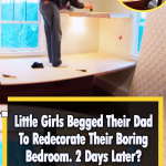 Dad Redecorate Daughters’s Boring Bedroom