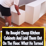 He turned Kitchen Cabinets to a unique Bed