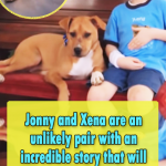 Miraculous Story of Xena the warrior Puppy