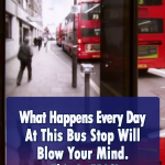 This Bus Stop Will Blow Your Mind