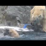 Video thumbnail for youtube video fxmpvml7gsw