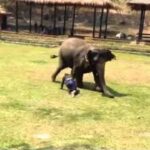 Video thumbnail for youtube video hrbqliosu2u