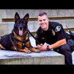 Video thumbnail for youtube video i5e7mizw6ts