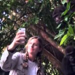 Video thumbnail for youtube video kca63rssyvw