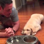 Video thumbnail for youtube video n7c1zjgqi_g