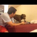 Video thumbnail for youtube video o7ocaj2nfou