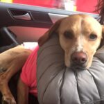 Video thumbnail for youtube video -oet-atr97k