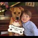 Video thumbnail for youtube video oyx7vcfv6ga