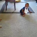 Video thumbnail for youtube video 0xzrhamht7o