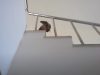 Dogs, Dachshund, holiday, boat, sea, yacht, Hilarious,