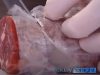 Meat, secret, glue, Dangerous, health, advice,