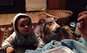 dog, hilarious, mama, food, baby, unbelievable,