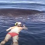 Family Rescues A Nearly-Dead Whale