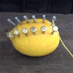 Awesome Survival Tip by using just one Lemon