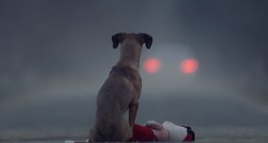 dog, abandoned, heartless, sad story, pets, short film, adoption,