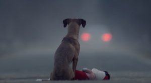 dog, abandoned, heartless, sad story, pets, short film, adoption,