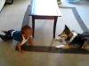 camera, filmed, home, dog, baby, playing, adorable, precious, cute,