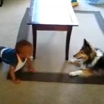 This just may be the cutest Video ever