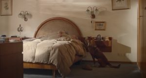 organ donation, dogs, relationship, emotional, best story, best ad,