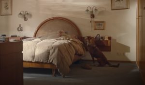 organ donation, dogs, relationship, emotional, best story, best ad,