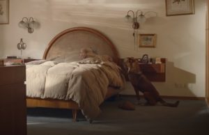 organ donation, dogs, relationship, emotional, best story, best ad,