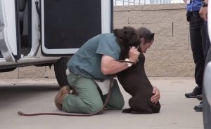 dogs, rescued, abused, adopted, prison, raised,