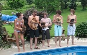 animals, dachshund, dogs, epic, funny, pool, Pool Race, race, swim, Swimming