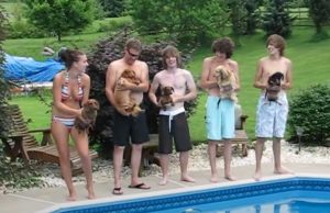 animals, dachshund, dogs, epic, funny, pool, Pool Race, race, swim, Swimming