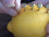 burn, Cold, Fire, Genius, Lemon, needles, science, Trick, tips, survival, forest,