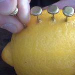 Awesome Survival Tip by using just one Lemon