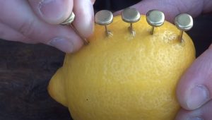 burn, Cold, Fire, Genius, Lemon, needles, science, Trick, tips, survival, forest,