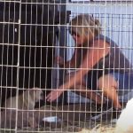 Every Pet Must Be Adopted