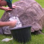 Old Tortoise Take his first Bath