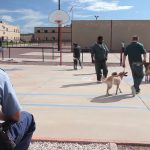 Rescued Dogs Got A New Life in Prison