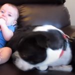 Cute Baby Poops in his Diapers